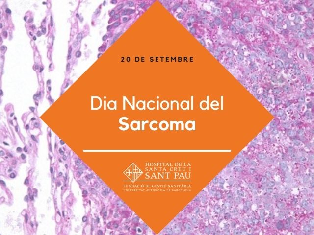 Dia Nacional del Sarcoma