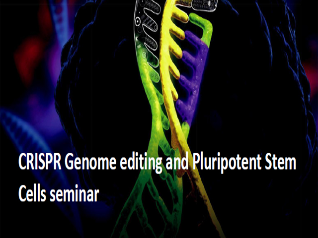 Seminari Genome Editing and Pluripotent Stem Cells