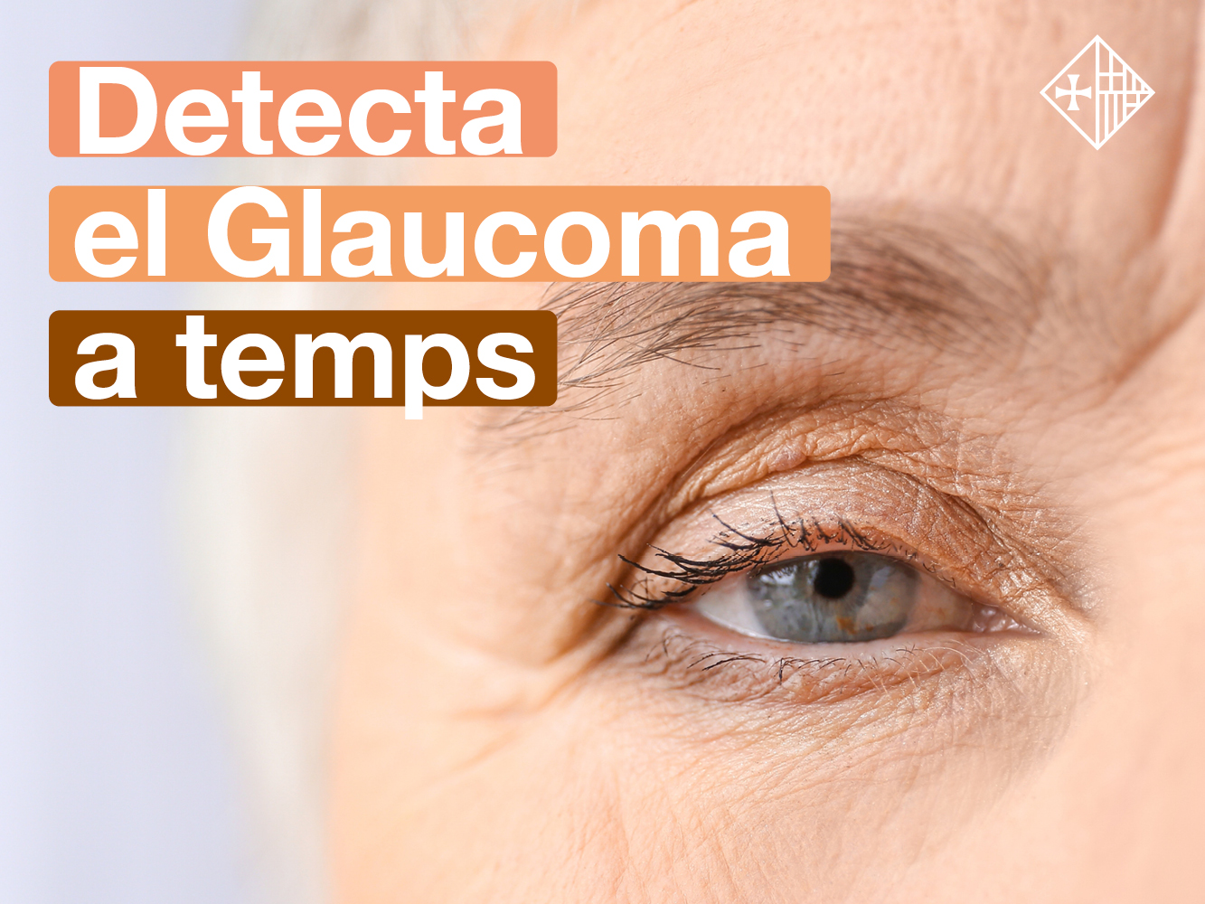 Vine a Sant Pau per visitar-te i detecta el glaucoma a temps
